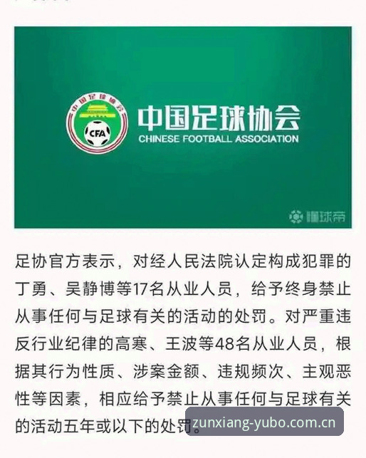 中国足协第三批禁足名单公布，宇博体育用户怎么看这场行业风暴？